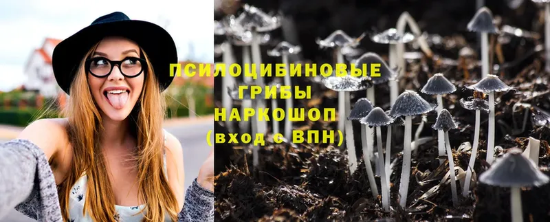 Псилоцибиновые грибы Psilocybine cubensis  Нариманов 